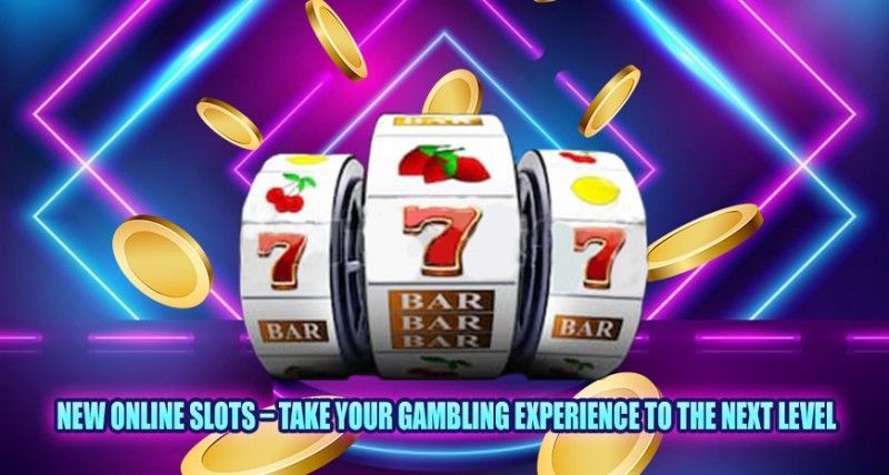 Fiesta on Direct WebCelebrate Daily Wins with PG Slots